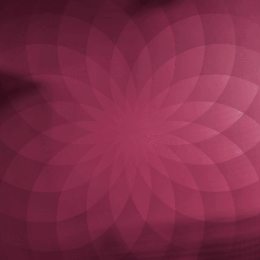 RW24_MEDIA KIT_1080x1080_dinamico_gif